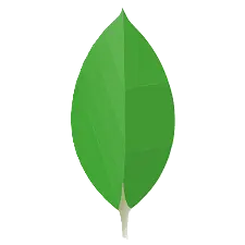 mongoDB icon